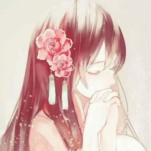 读者夜航西飞头像
